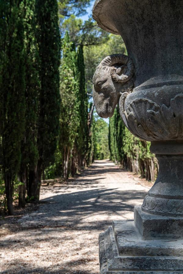 Chateau Martinay Hotel Carpentras Esterno foto